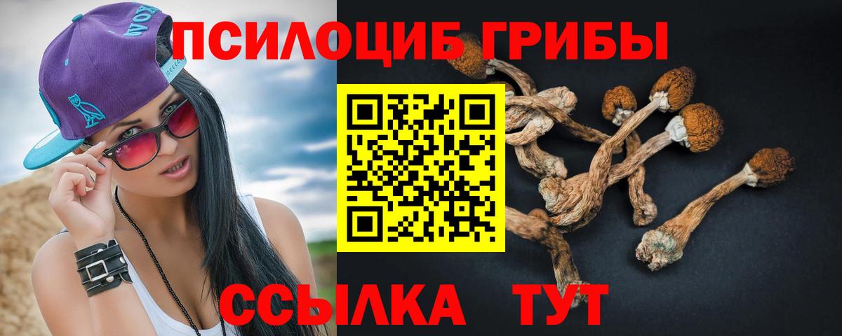 Саяногорск  цены наркотик  Вход с VPN  Псилоцибиновые грибы GOLDEN TEACHER 